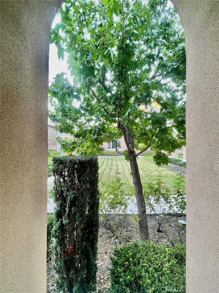 181 Rhapsody Irvine, CA 92620 - Photo 39 of 73 a plant view in yard