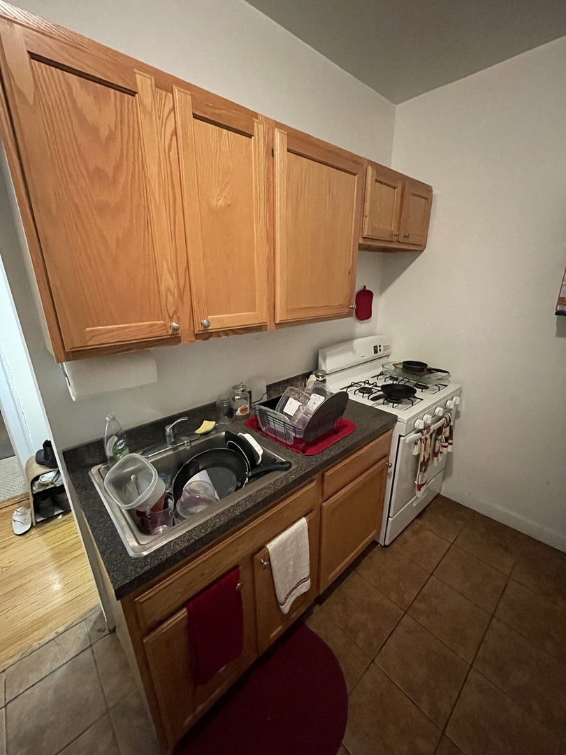 641 West Roscoe Street, Unit W1 Chicago, IL 60657 - Photo 7 of 10