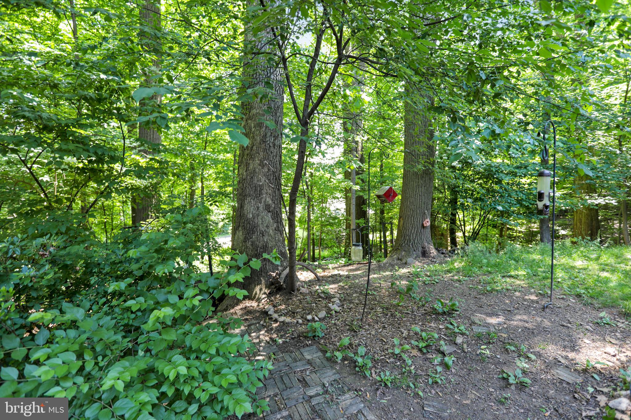 2038 Derby Ridge Lane Silver Spring, MD 20910 - Photo 12 of 28