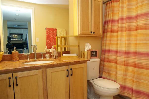 8 Museum Way, Unit 802 Cambridge, MA 02141 - Photo 12 of 13 a bathroom with a sink a toilet and shower
