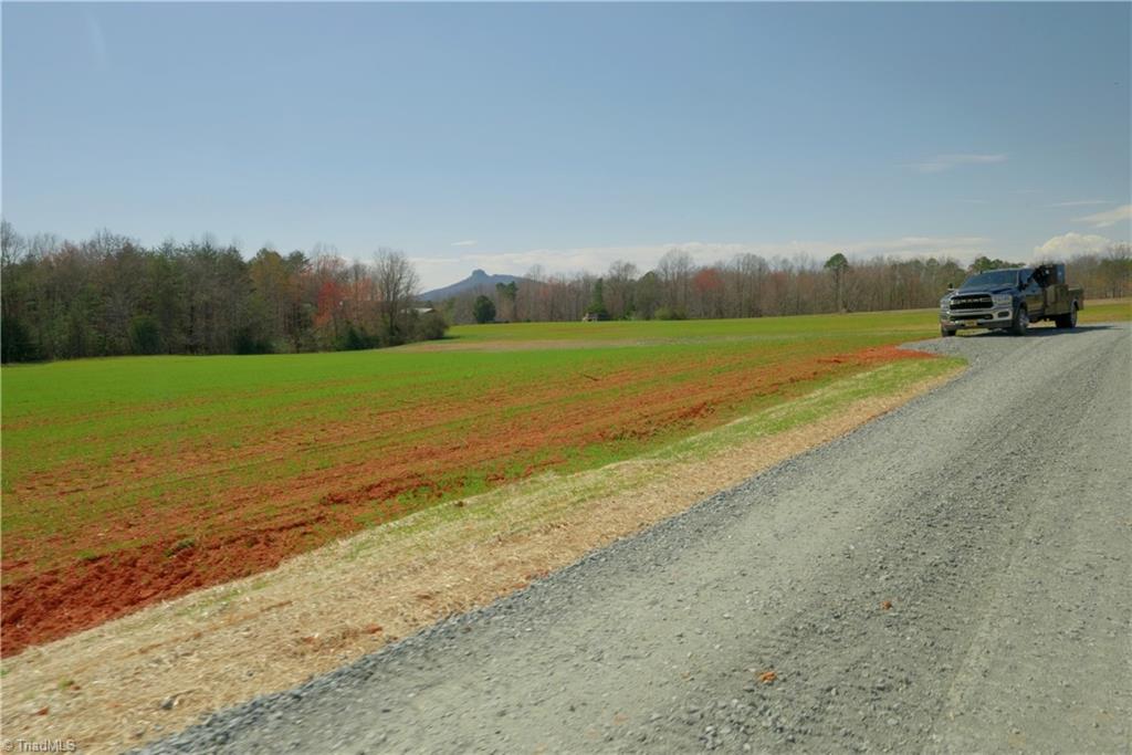 3-4 Old Mill Road Pinnacle, NC 27043 - Photo 5 of 24