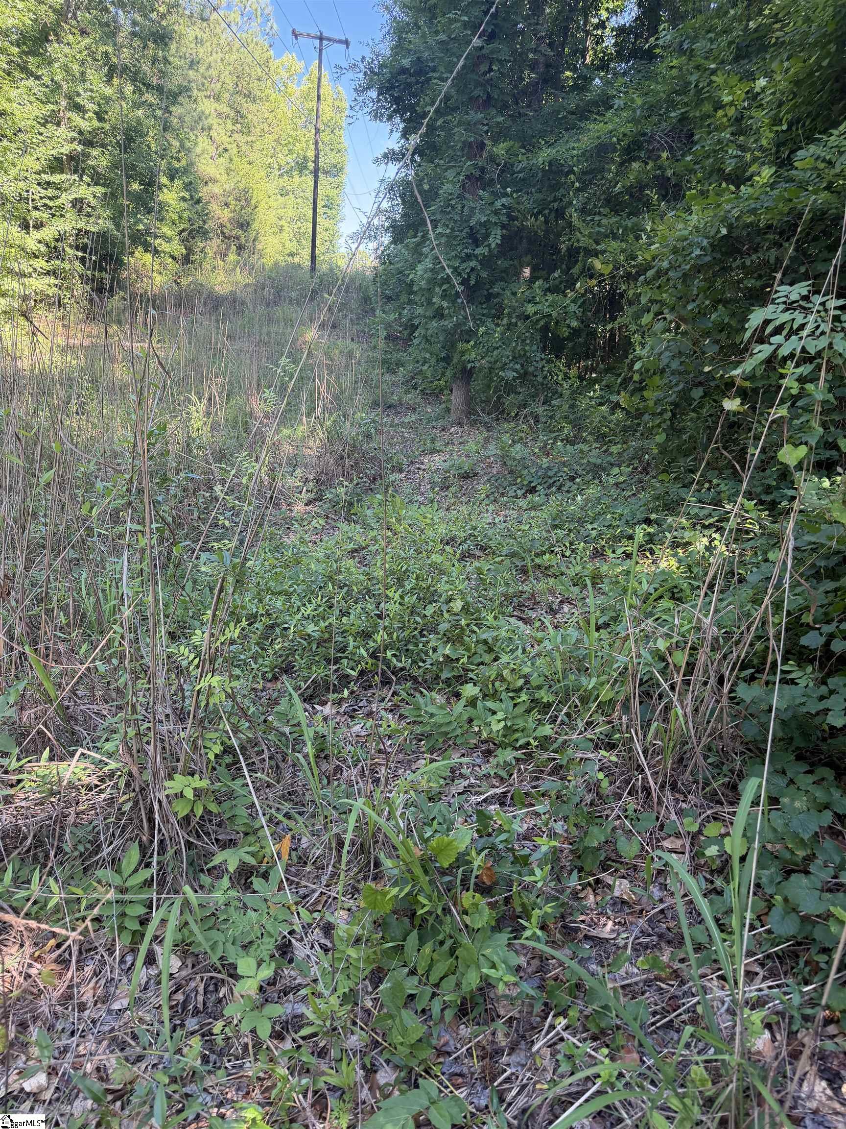 0 Buzhardt Road Ware Shoals, SC 29692 - Photo 2 of 5