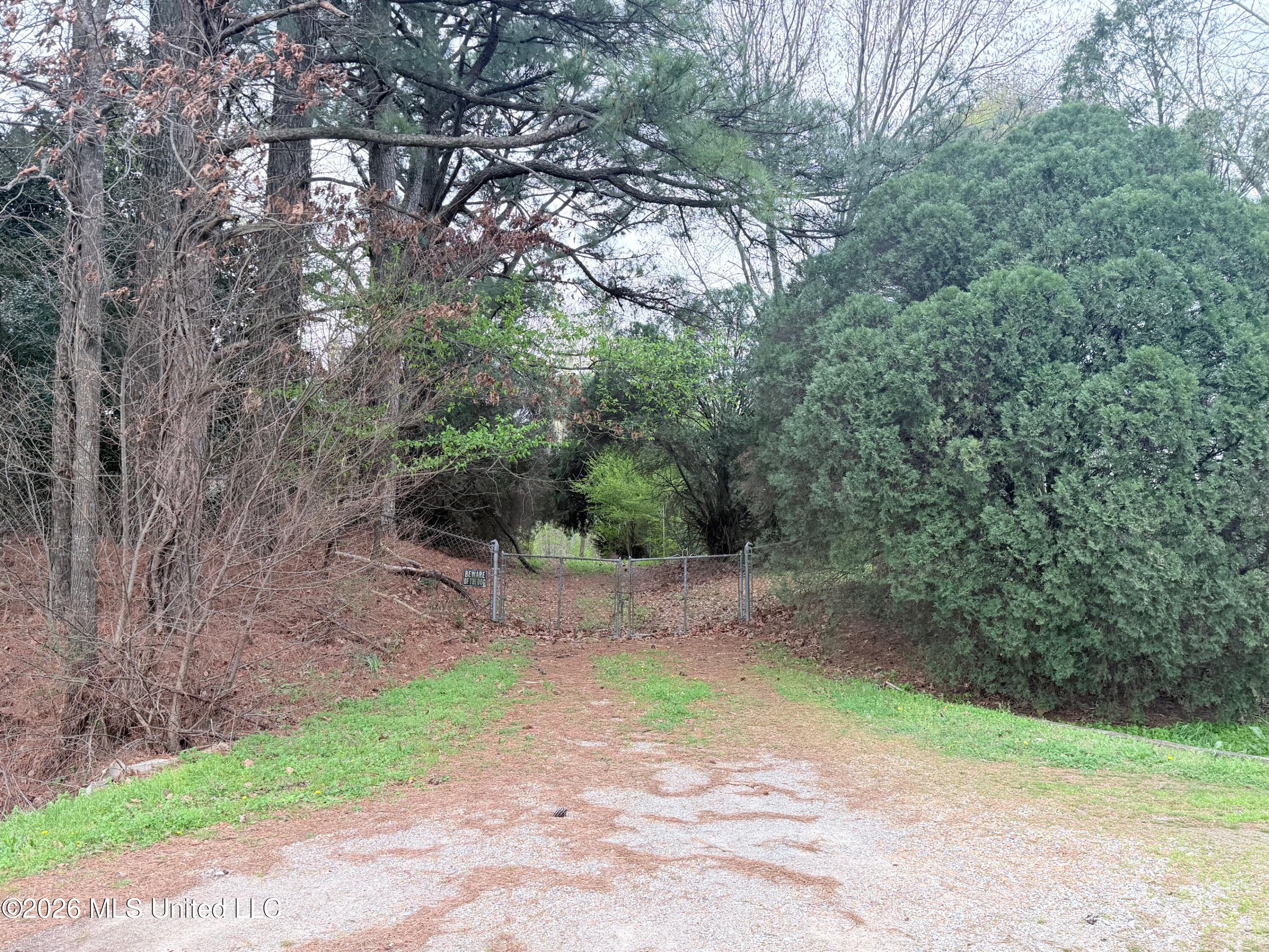 2943 Plum Point Road Southaven, MS 38672 - Photo 5 of 5 IMG_9426