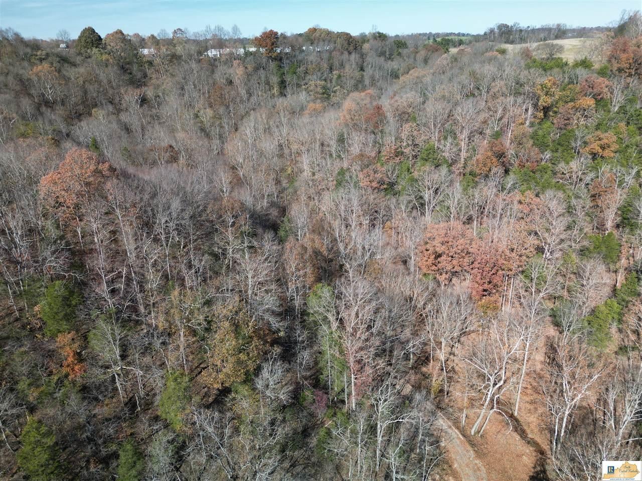 251 Crocus View Road Glens Fork, KY 42741 - Photo 15 of 54 Gallery Image 15