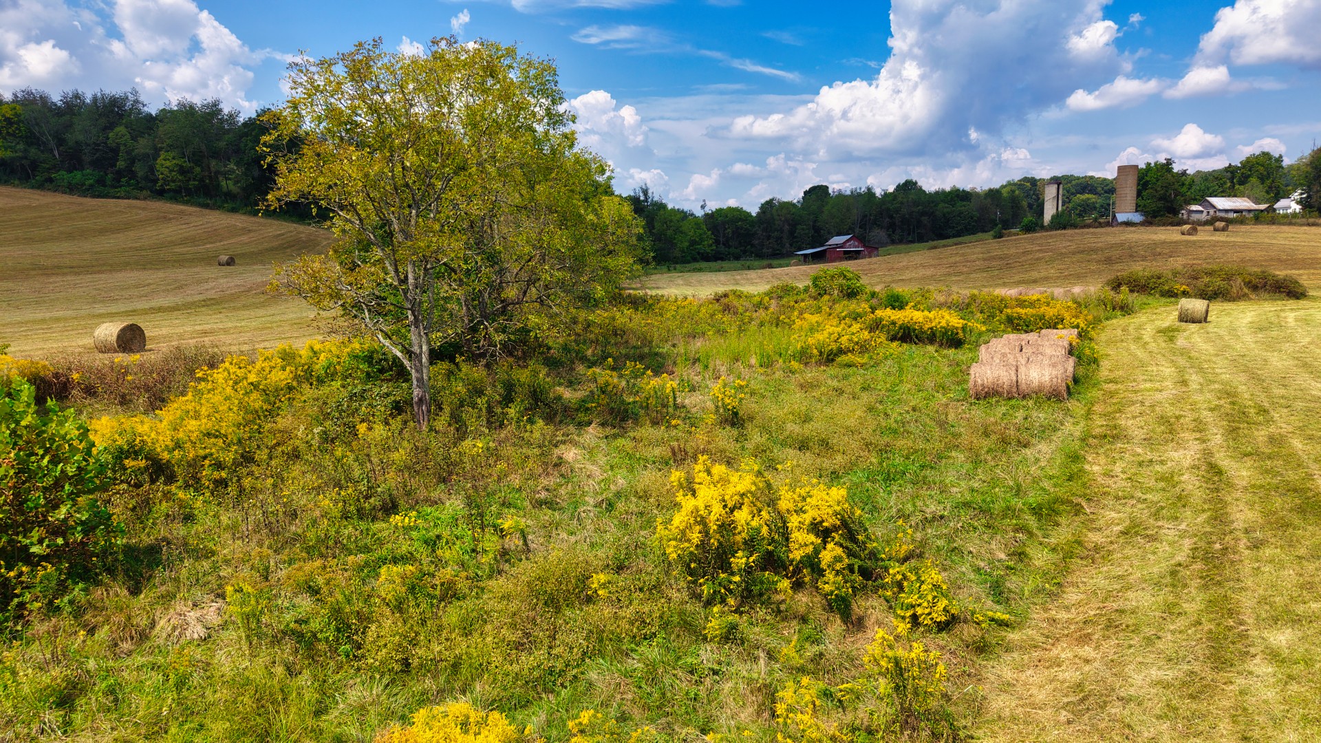 0 Mitchell Ridge Road Jonesborough, TN 37659 - Photo 9 of 82 Gallery Image 9