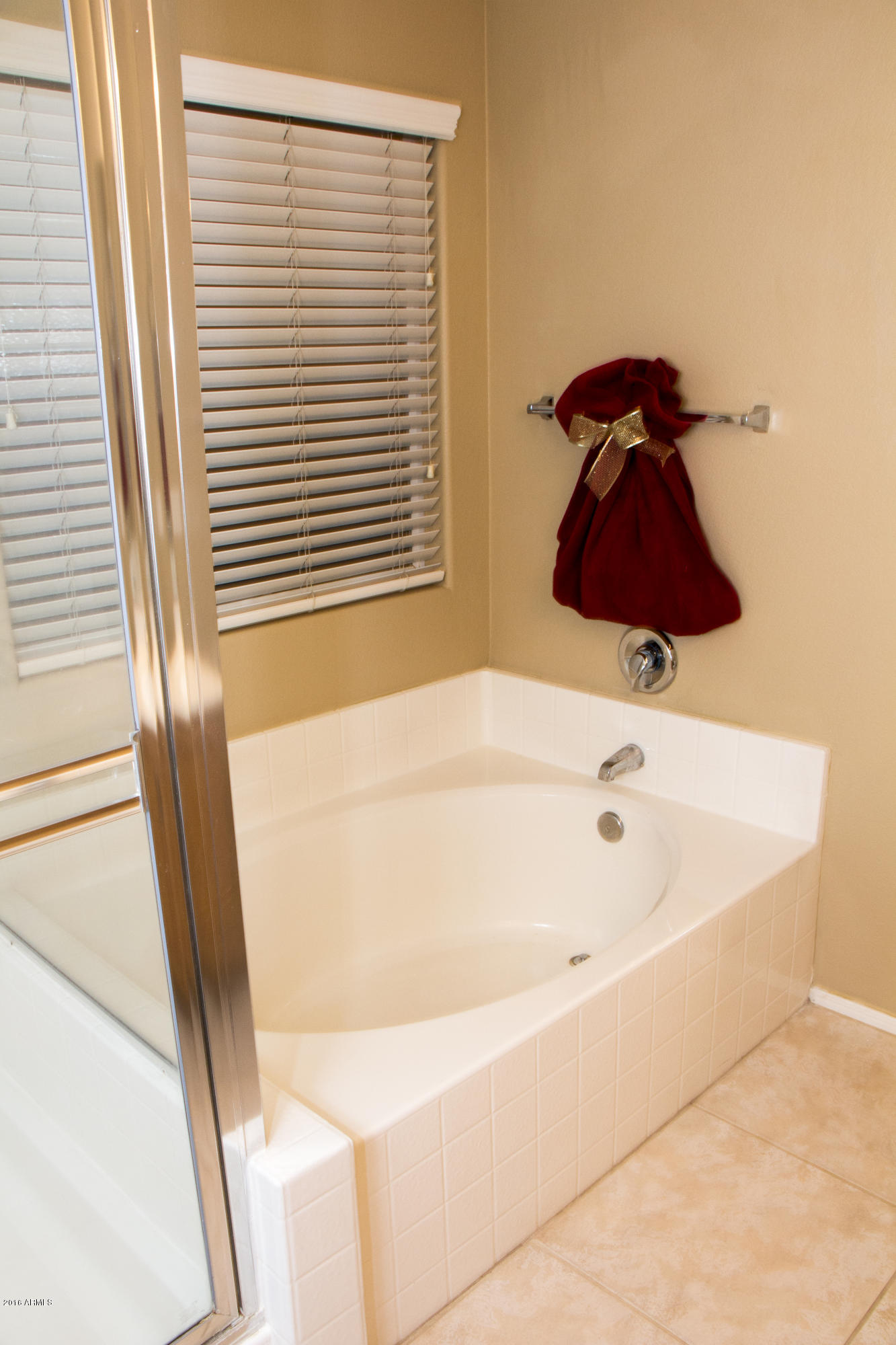 3517 South Sawmill Road Gilbert, AZ 85297 - Photo 20 of 26 a bathroom with a bathtub and a window