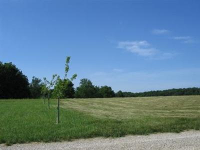 0 Green Post Ranch Seymour, MO 65746 - Photo 1 of 1 Primary Photo