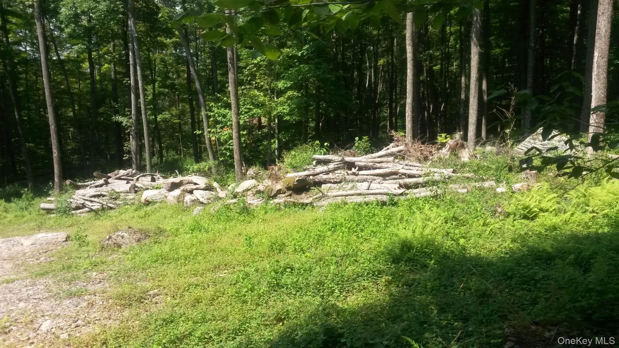 Quarry Road Hancock, NY 13783 - Photo 2 of 7 a view of outdoor space and yard