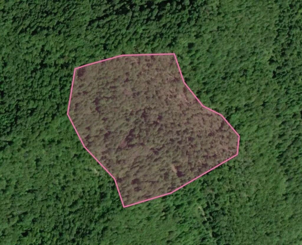 0 Delta Road Crum, WV 25669 - Photo 1 of 1 Gallery Image 1