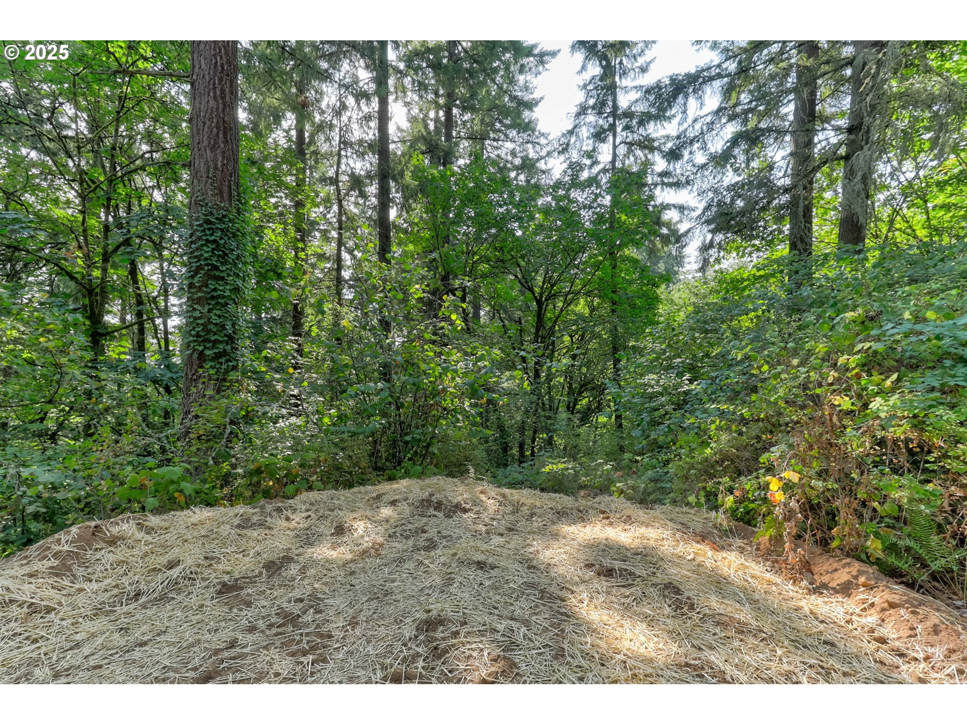 Northwest Arcadia, Unit 1517 Portland, OR 97231 - Photo 11 of 30