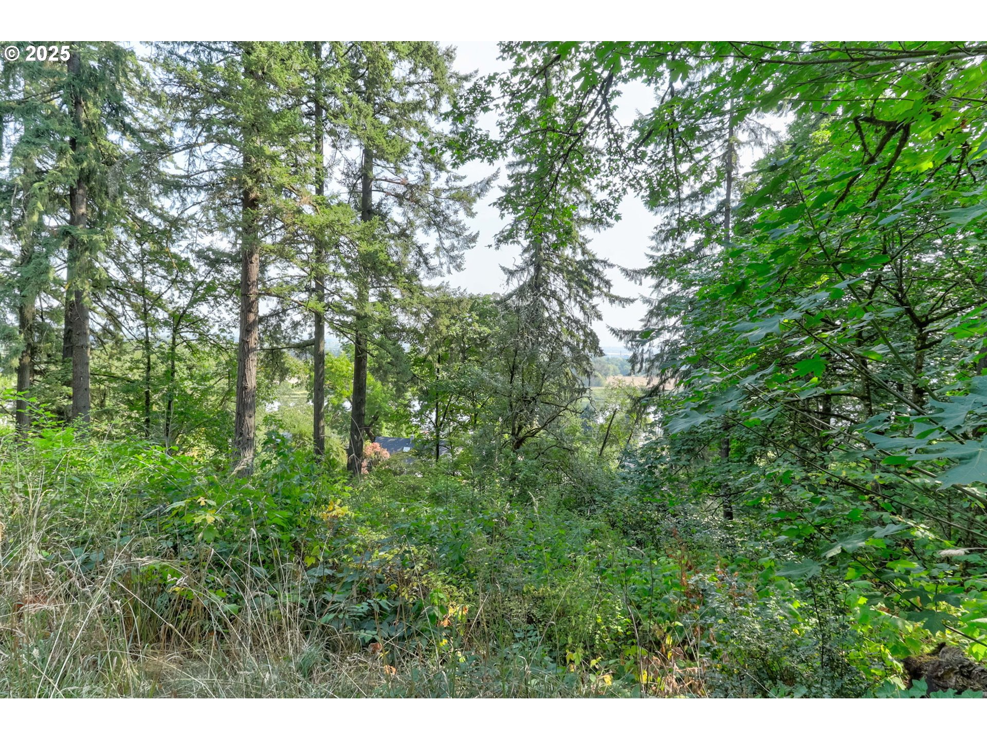 Northwest Arcadia, Unit 1517 Portland, OR 97231 - Photo 17 of 30