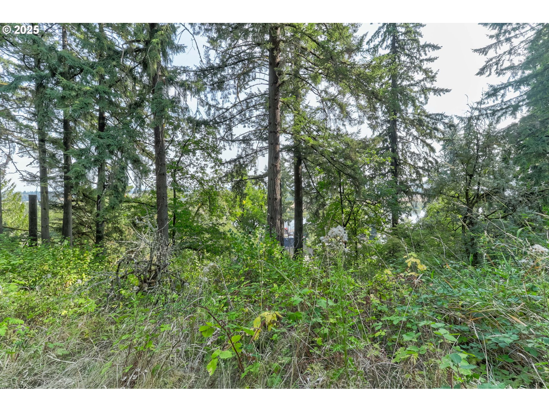 Northwest Arcadia, Unit 1517 Portland, OR 97231 - Photo 19 of 30