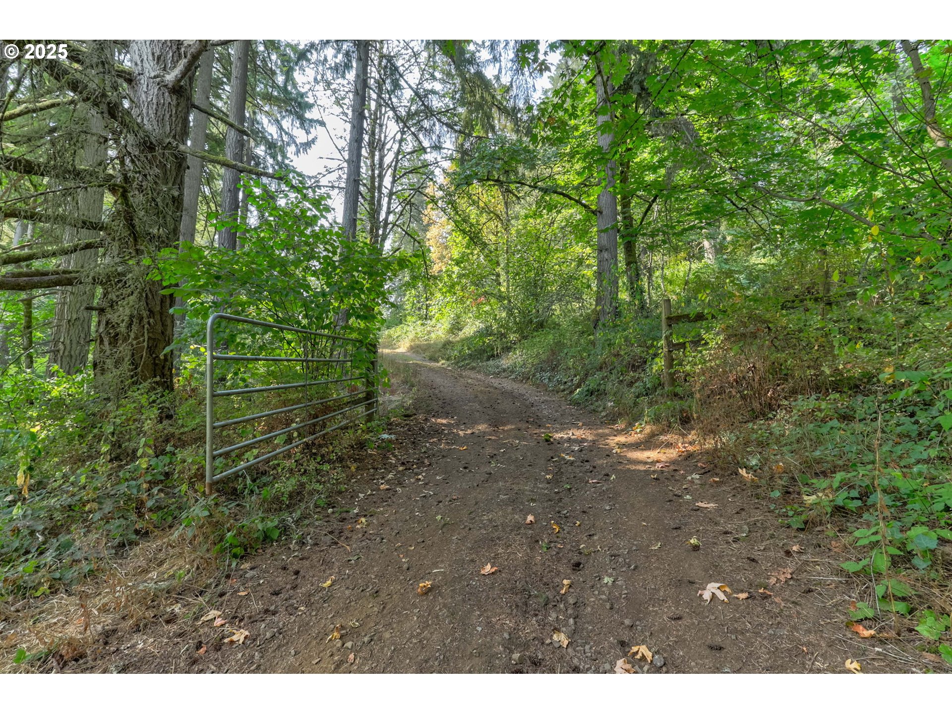 Northwest Arcadia, Unit 1517 Portland, OR 97231 - Photo 3 of 30