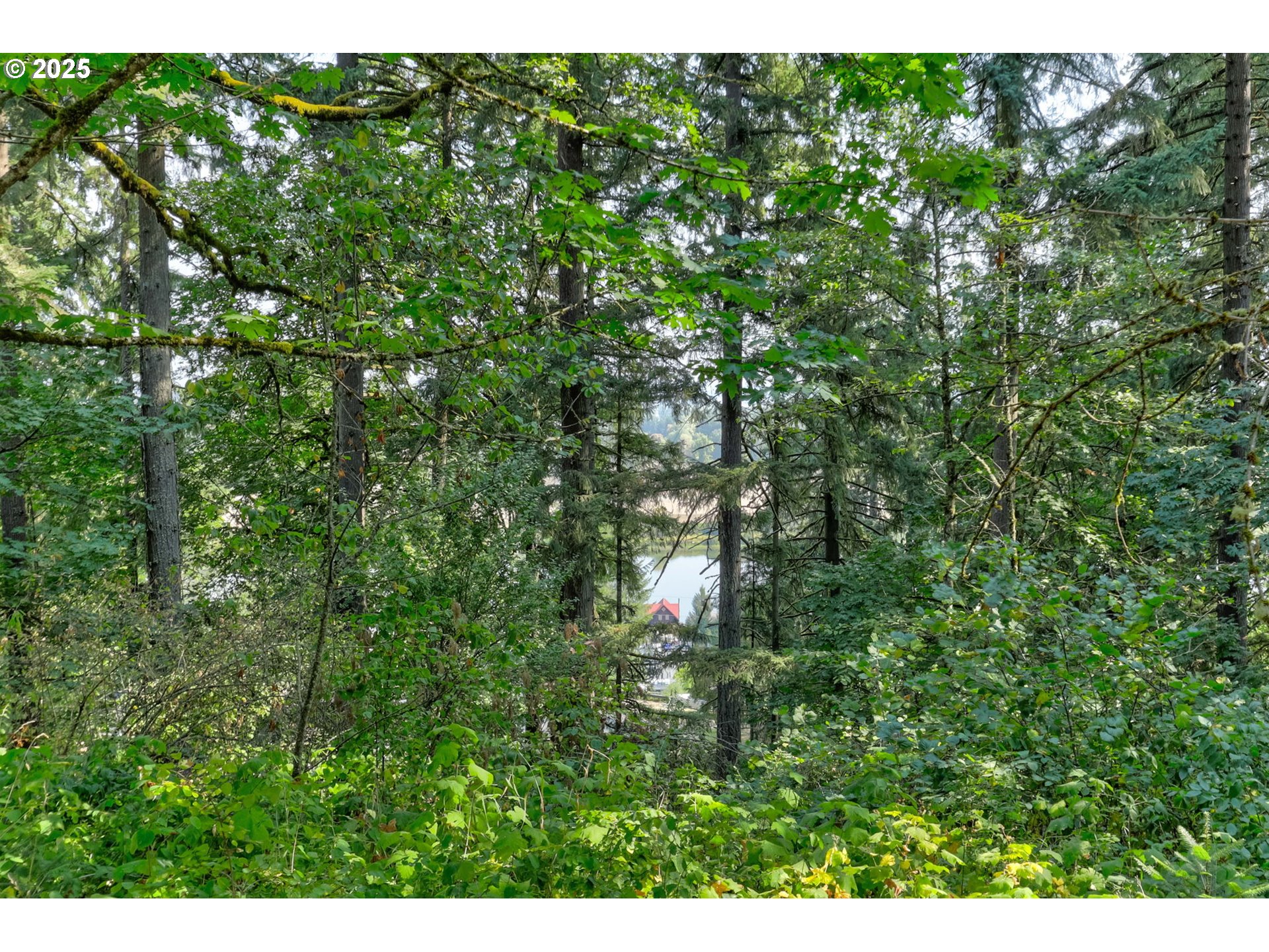 Northwest Arcadia, Unit 1517 Portland, OR 97231 - Photo 4 of 30