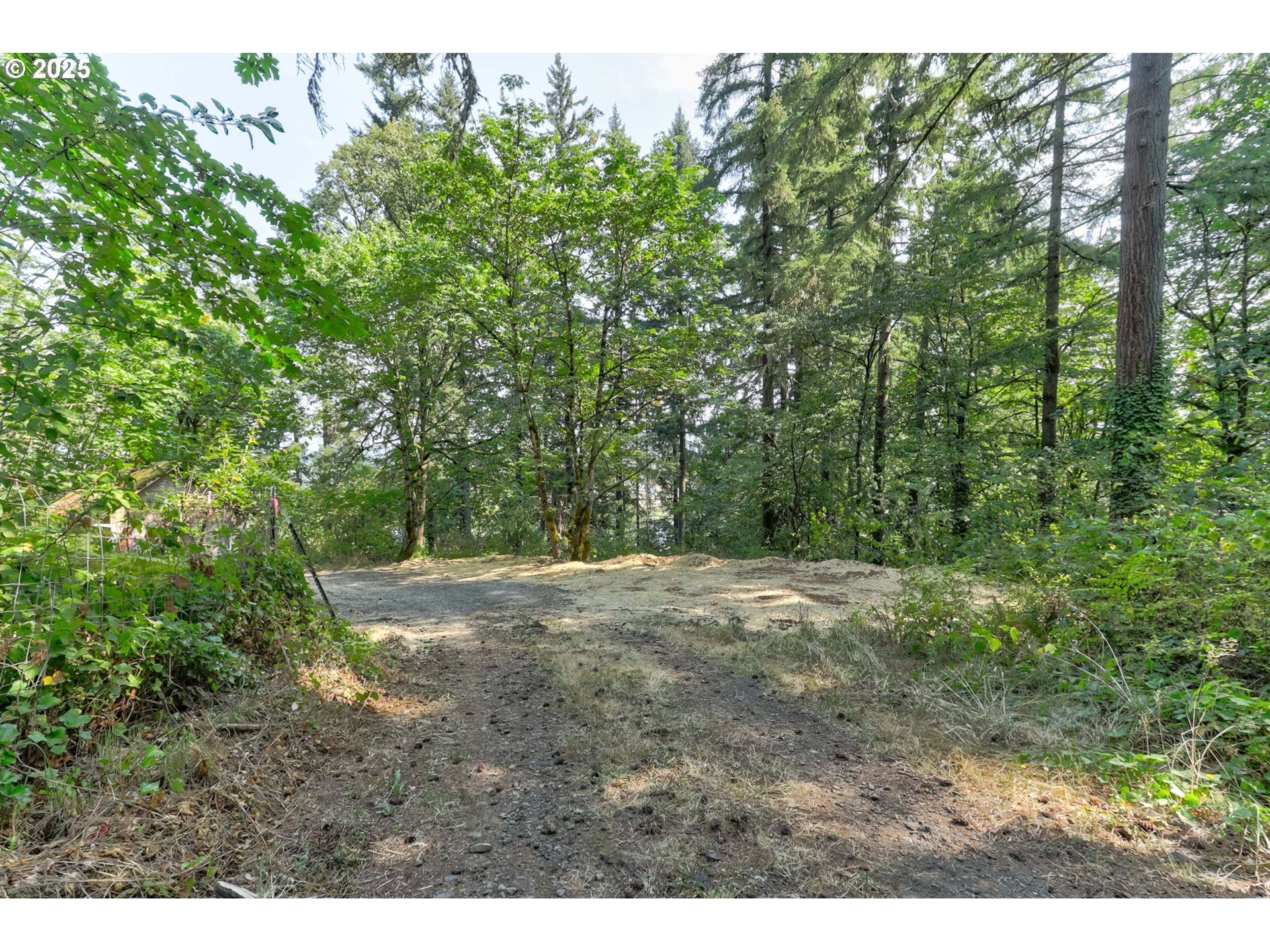 Northwest Arcadia, Unit 1517 Portland, OR 97231 - Photo 5 of 30