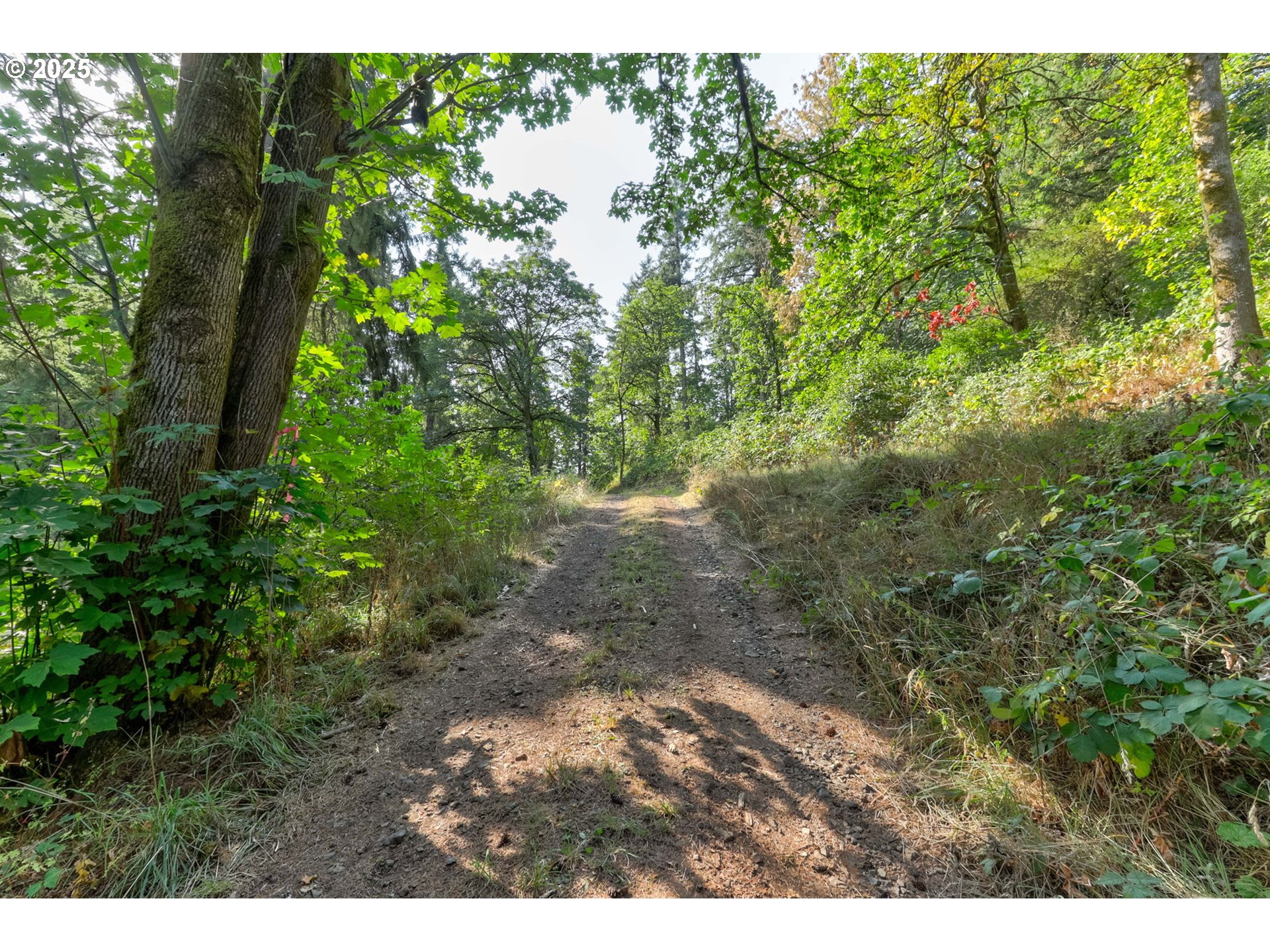 Northwest Arcadia, Unit 1517 Portland, OR 97231 - Photo 6 of 30