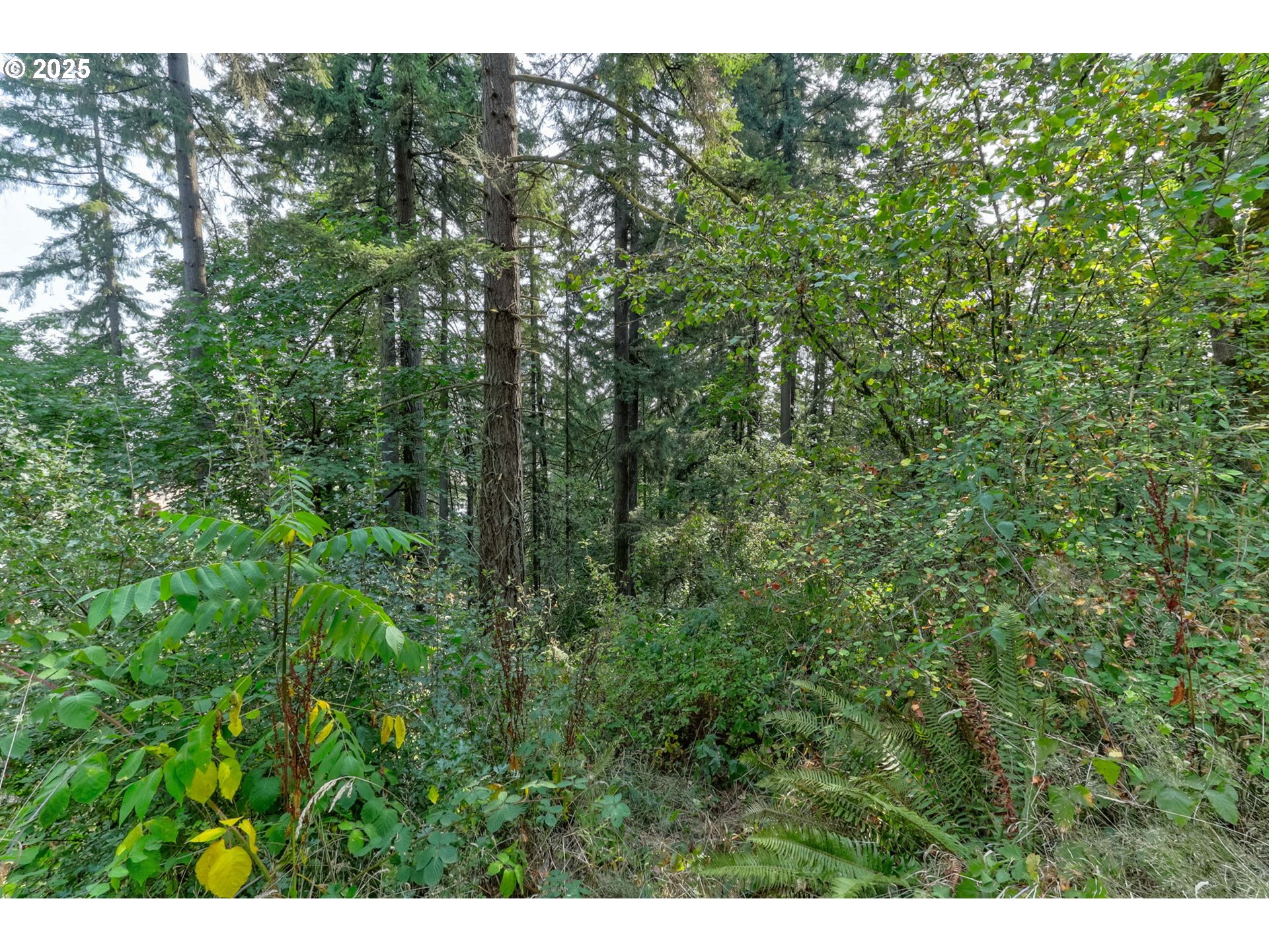 Northwest Arcadia, Unit 1517 Portland, OR 97231 - Photo 7 of 30