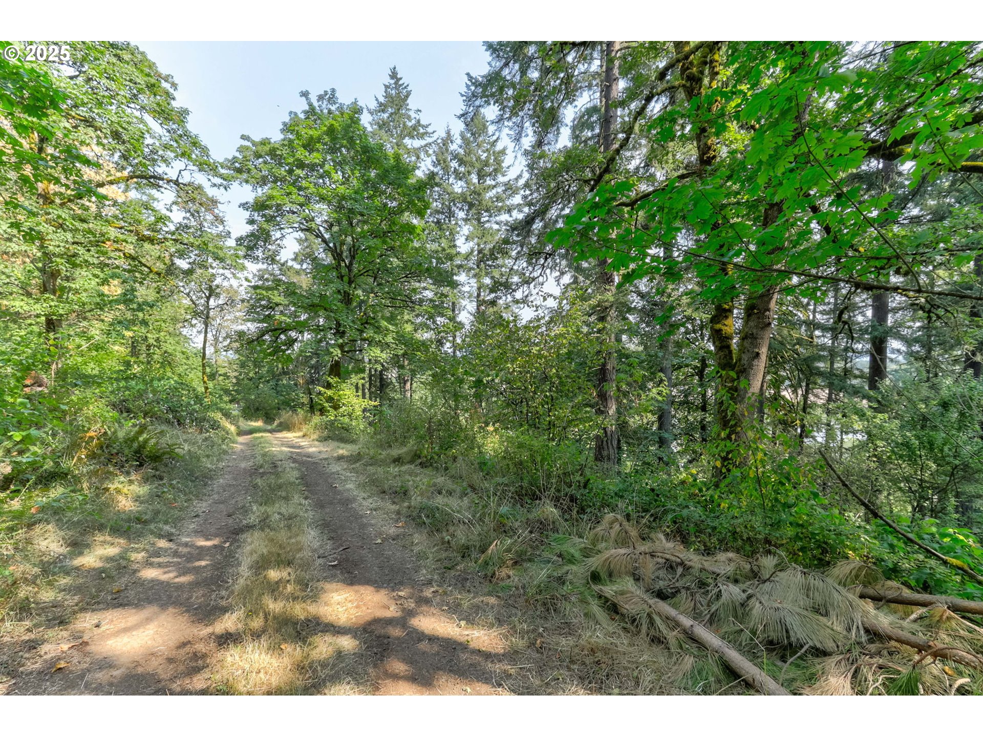 Northwest Arcadia, Unit 1517 Portland, OR 97231 - Photo 8 of 30