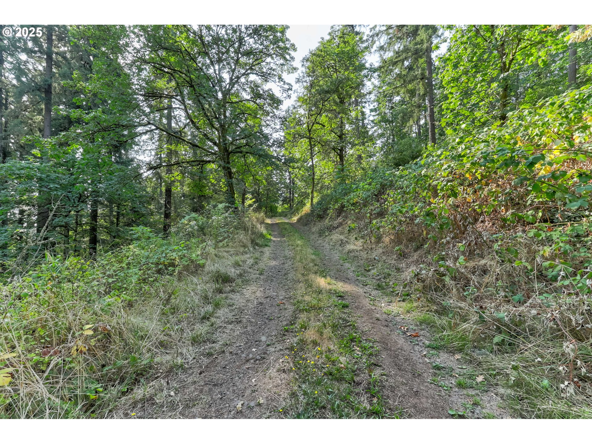 Northwest Arcadia, Unit 1517 Portland, OR 97231 - Photo 9 of 30