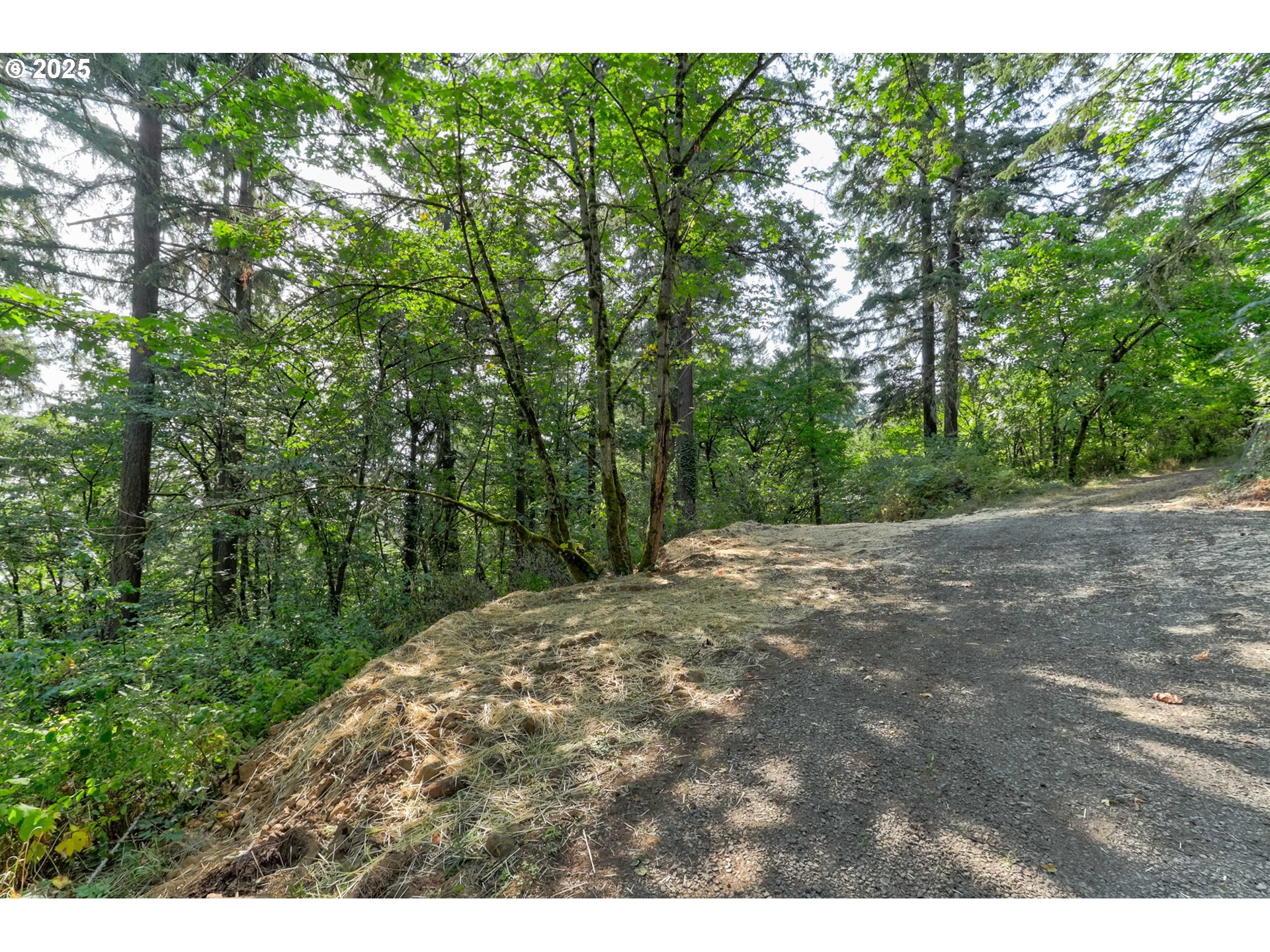 Northwest Arcadia, Unit 1517 Portland, OR 97231 - Photo 10 of 30