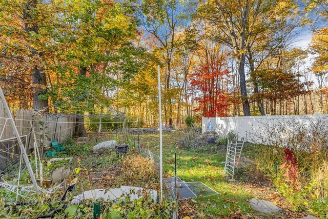 a backyard of a house with lots of green space