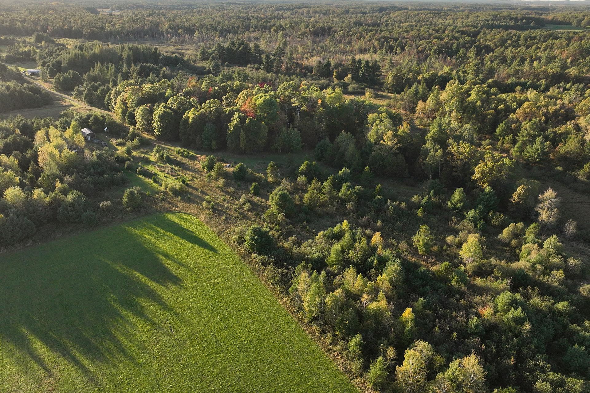 81-acres Anderson Road Neillsville, WI 54456 - Photo 32 of 38