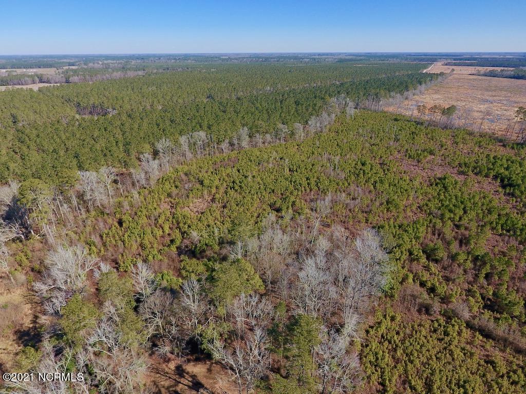 1390 Dover Fort Barnwell Road Dover, NC 28526 - Photo 12 of 39 12