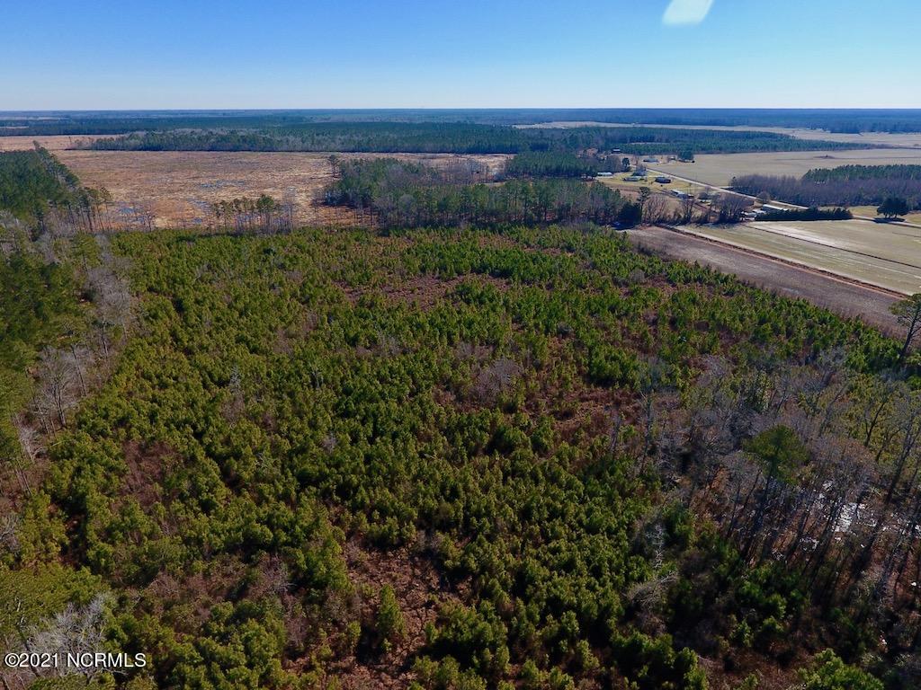 1390 Dover Fort Barnwell Road Dover, NC 28526 - Photo 14 of 39 14