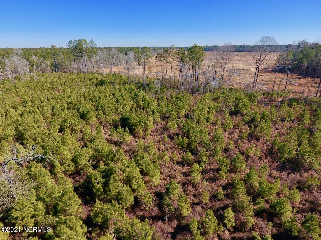 1390 Dover Fort Barnwell Road Dover, NC 28526 - Photo 21 of 39 21