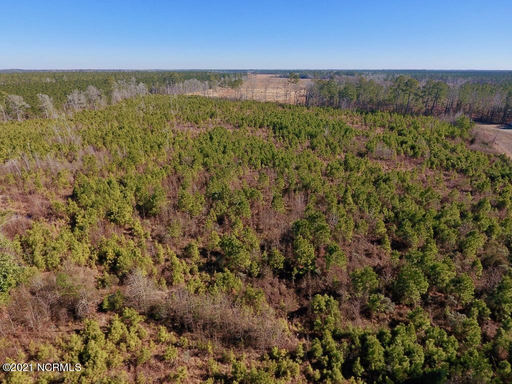 1390 Dover Fort Barnwell Road Dover, NC 28526 - Photo 23 of 39 23