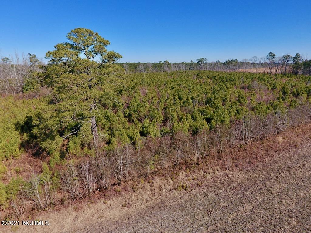 1390 Dover Fort Barnwell Road Dover, NC 28526 - Photo 24 of 39 24