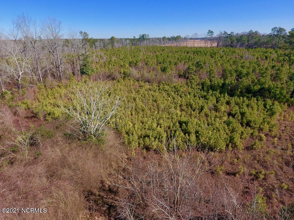 1390 Dover Fort Barnwell Road Dover, NC 28526 - Photo 33 of 39 33