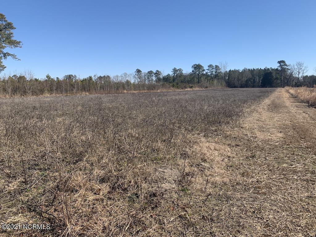 1390 Dover Fort Barnwell Road Dover, NC 28526 - Photo 36 of 39 36