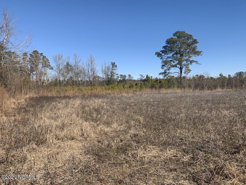 1390 Dover Fort Barnwell Road Dover, NC 28526 - Photo 37 of 39 37
