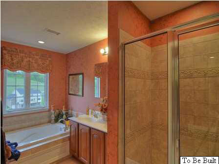 5585 Summerdean Road Crozet, VA 22932 - Photo 9 of 16 a bathroom with a bathtub and a sink