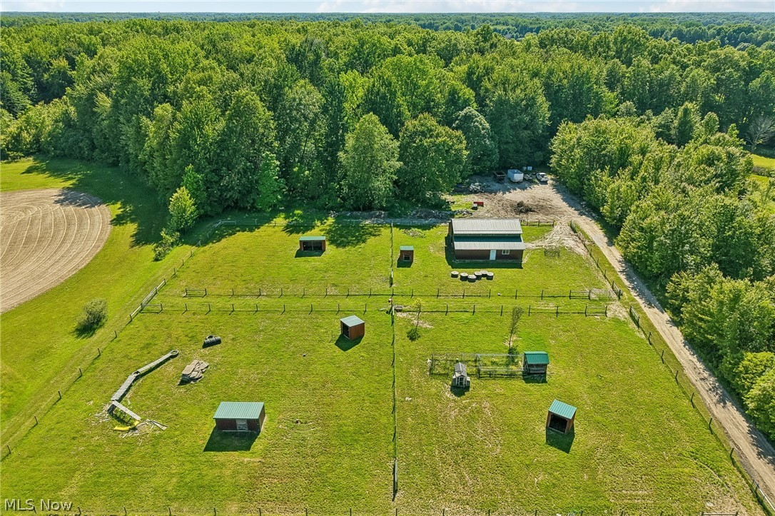 12034 Root Road Columbia Station, OH 44028 - Photo 46 of 50