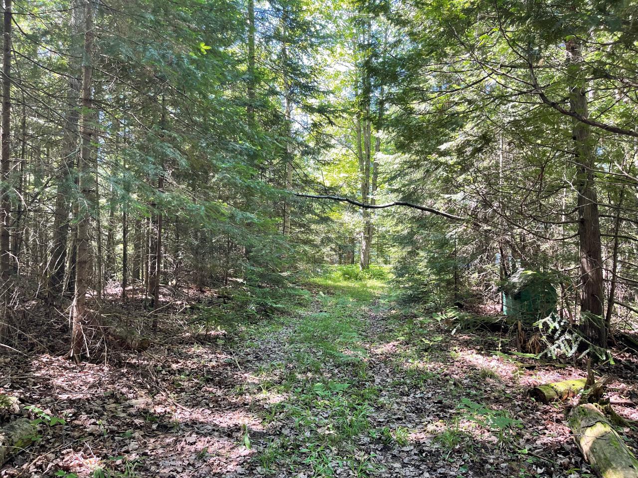 6123 East Big Lake Loop Road Three Lakes, WI 54562 - Photo 6 of 9 Gallery Image 6