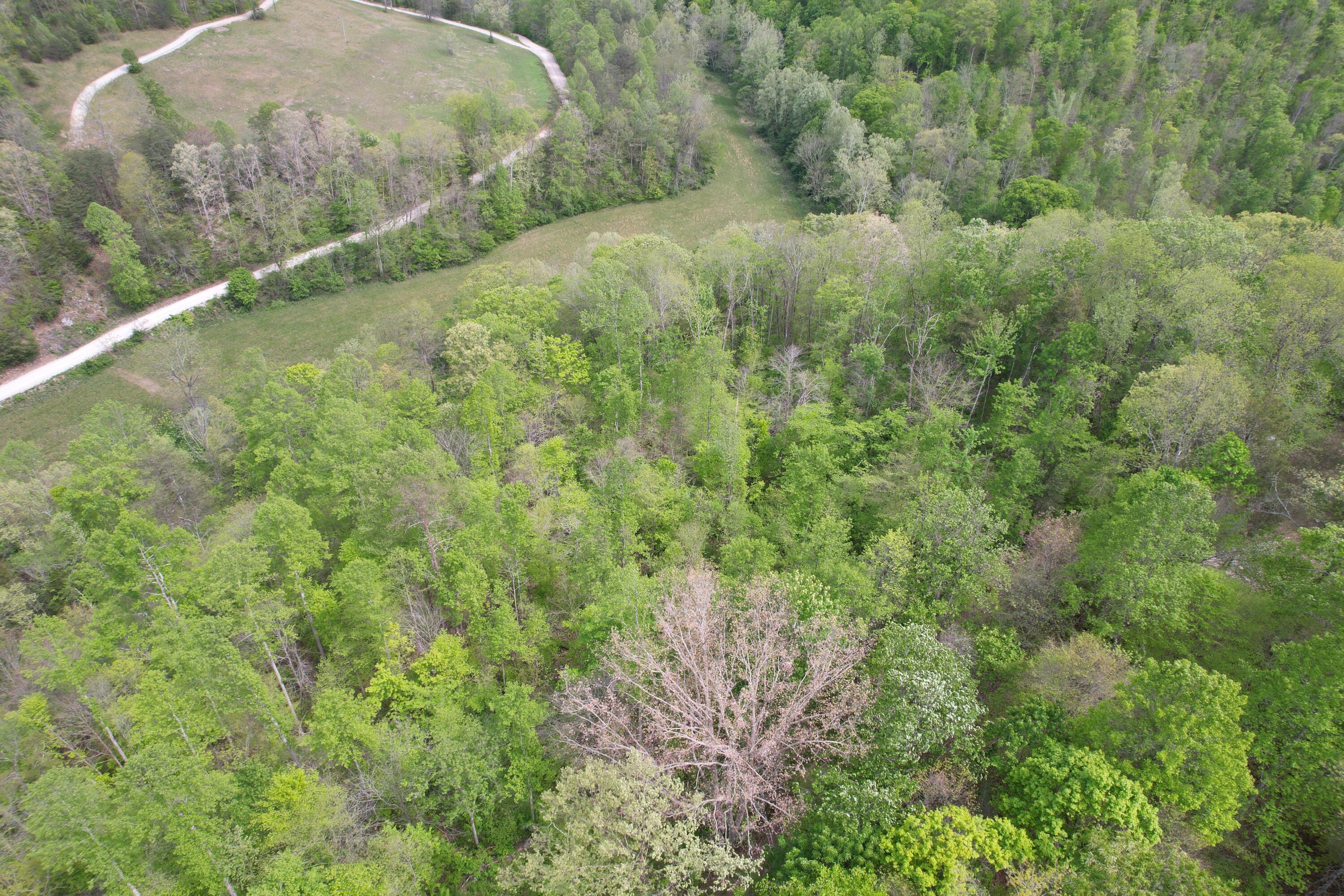 999 Big Cave Road Livingston, KY 40445 - Photo 11 of 13 DJI_0831