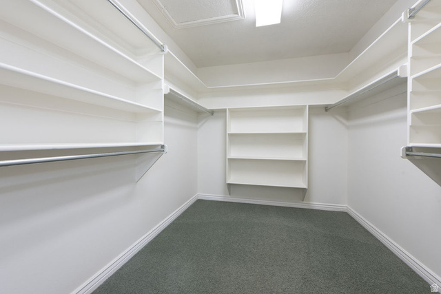 875 East 1300th Street North Mapleton, UT 84664 - Photo 33 of 65 Walk in closet featuring dark colored carpet