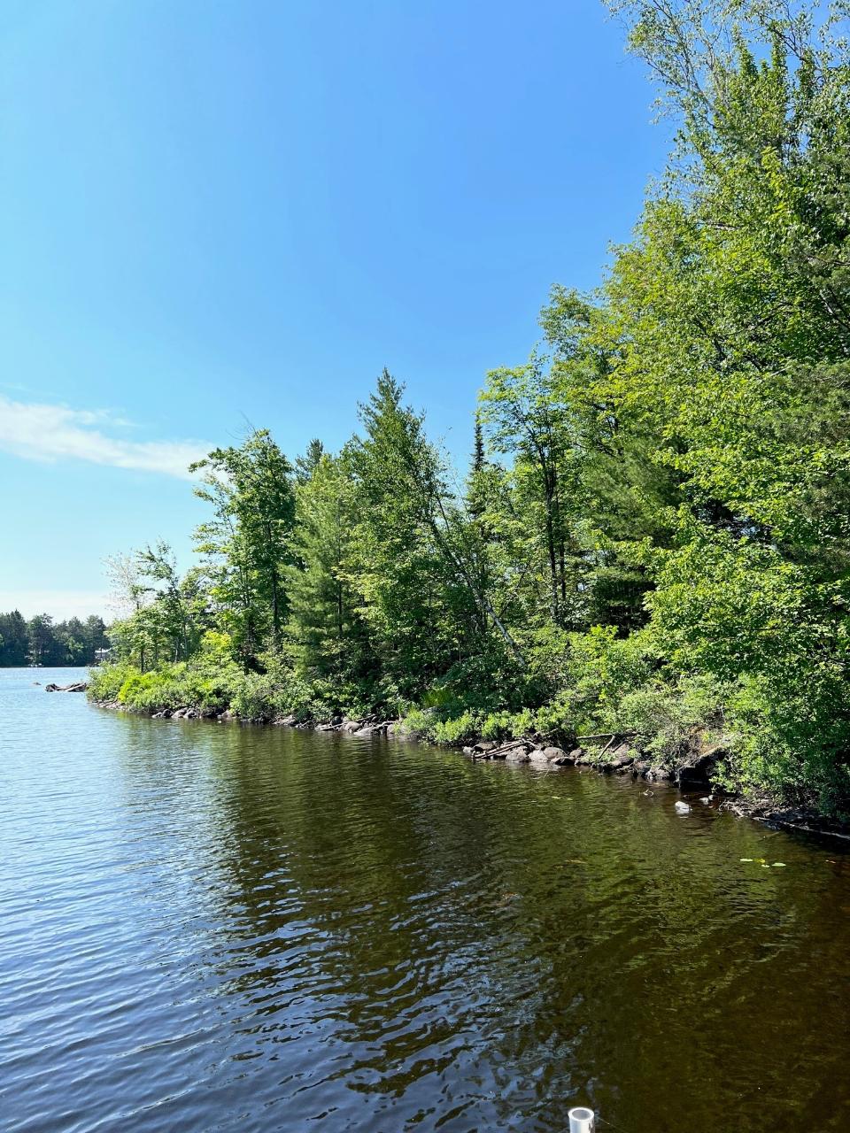 Lot 1 Sopko Road Mercer, WI 54547 - Photo 1 of 2 Gallery Image 1