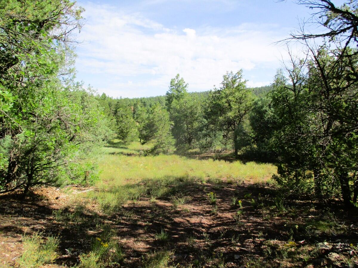 5-6 Black Bear Road Ramah, NM 87321 - Photo 47 of 64 Gallery Image 47