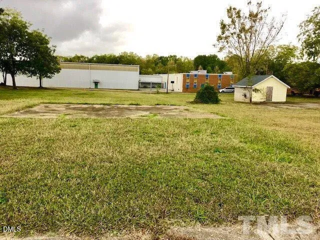 a view of a house with a yard and a large tree