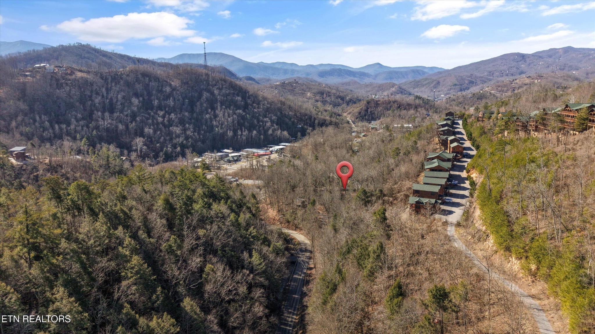 253 Cartertown Road Gatlinburg, TN 37738 - Photo 27 of 30 a view of a forest with mountains in the background