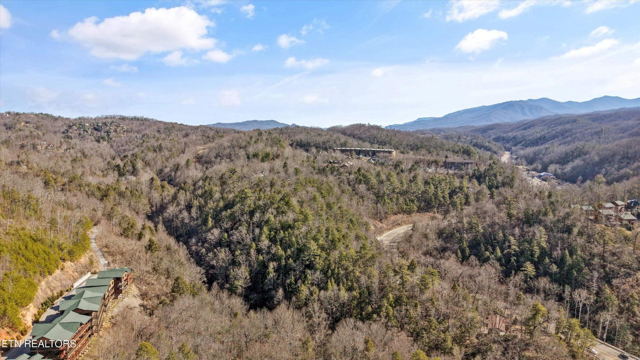 253 Cartertown Road Gatlinburg, TN 37738 - Photo 28 of 30 a view of a dry yard with mountains in the background