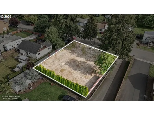 a black and white photo of a park