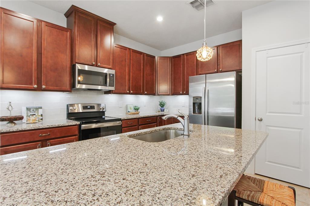 420 Spring Pond Lane Mount Dora, FL 32757 - Photo 7 of 31