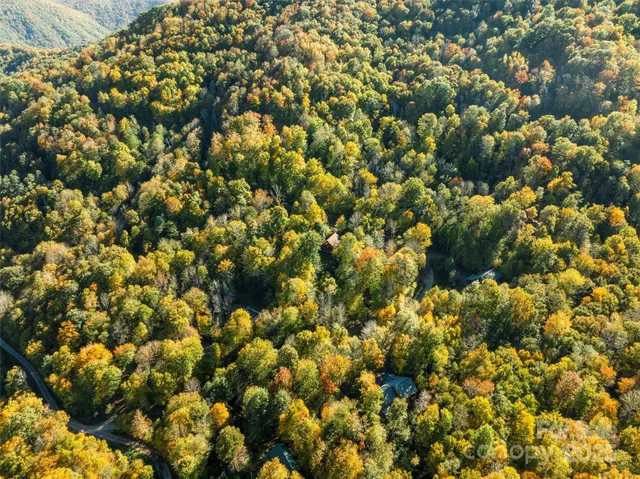 a sign that is sitting in front of a tree