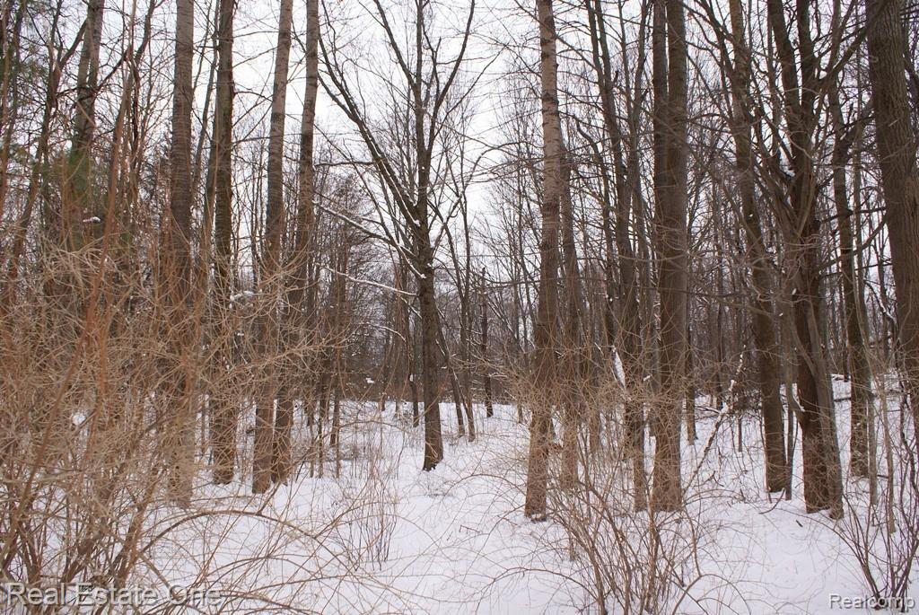 1 Miller Road Attica, MI 48412 - Photo 10 of 14