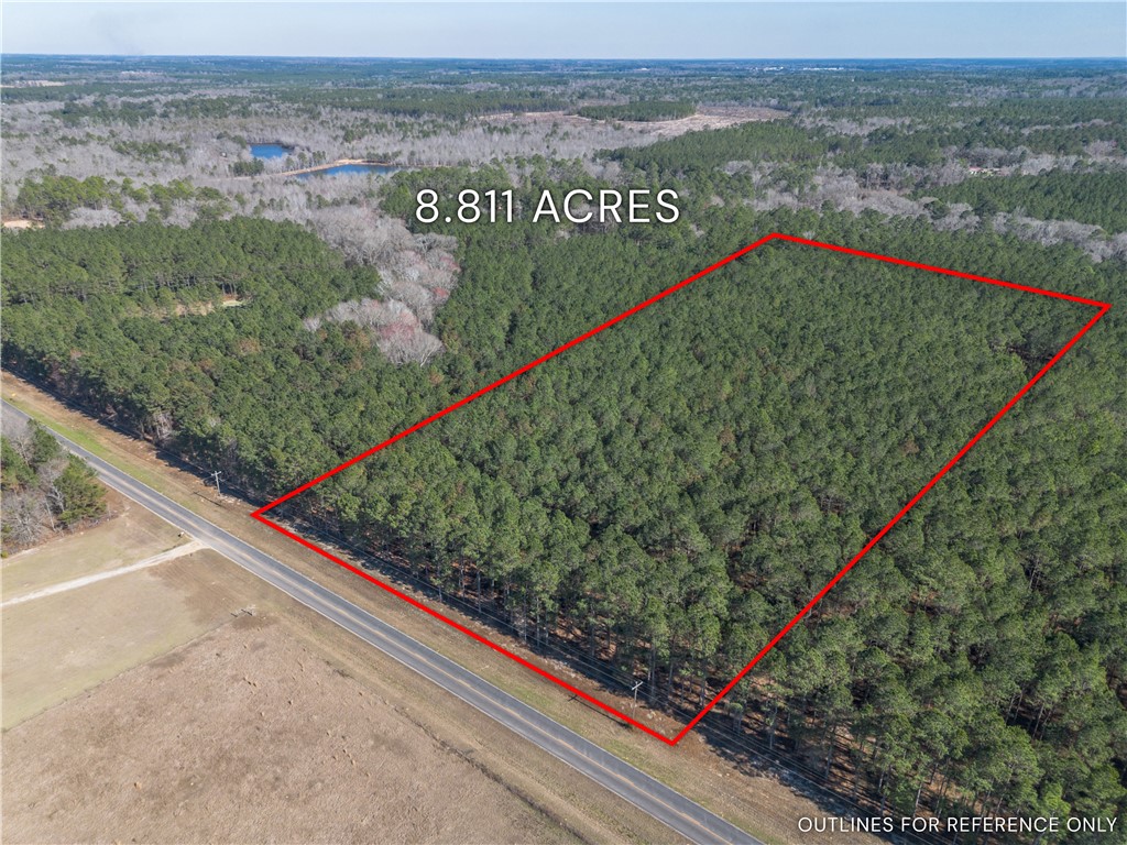 Lot 3 Ben Giddens Road Eastman, GA 31023 - Photo 2 of 9