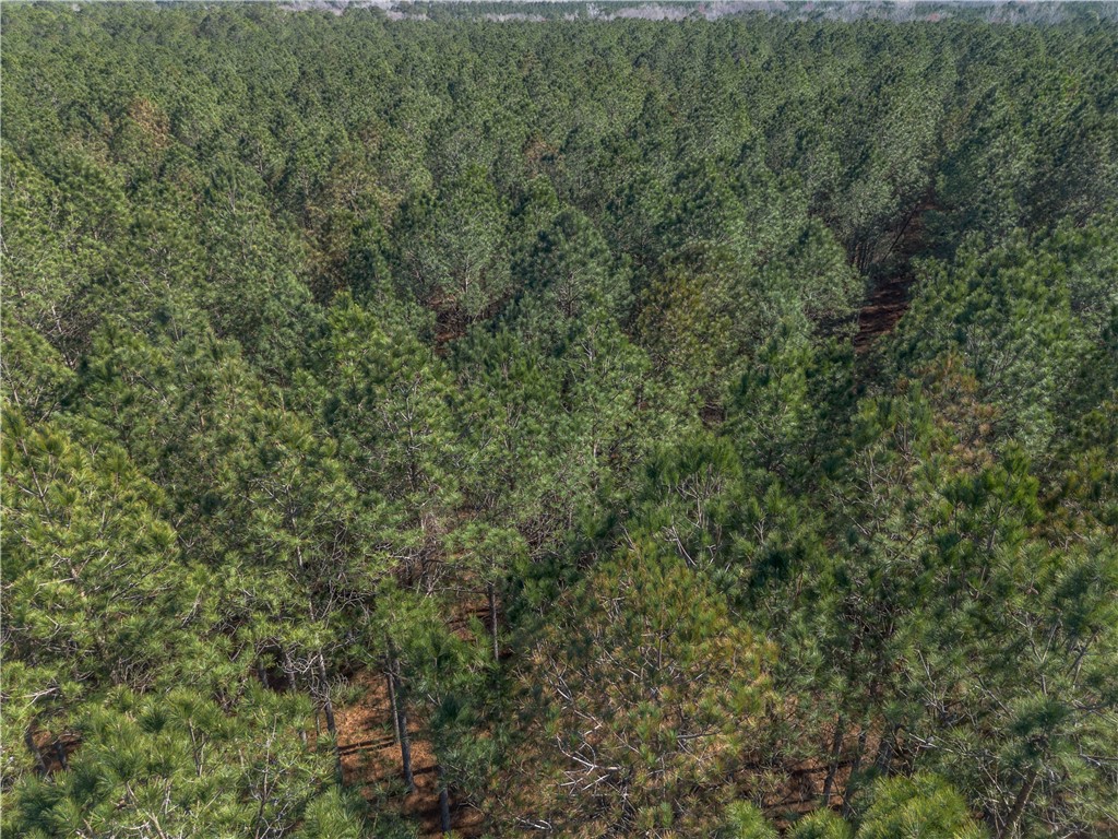 Lot 3 Ben Giddens Road Eastman, GA 31023 - Photo 3 of 9